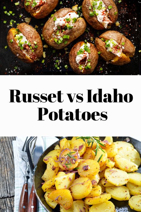 Potatoes are a staple ingredient in many cuisines across the world, and with numerous varieties available, it’s important to know the key differences between the popular Russet and Idaho potatoes. Both of these potato types are widely used in American cooking and are known for their distinctive characteristics. In this article, we’ll explore the unique features of Russet and Idaho potatoes and how they can impact your culinary creations. Idaho Potato Recipes, Potato Types, Potato Varieties, Types Of Potatoes, Idaho Potatoes, Making Mashed Potatoes, Fingerling Potatoes, White Potatoes, New Potato