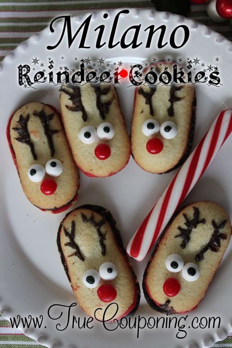 What's better than premade cookies? Premade #cookies that you can turn into fun Milano #Reindeer Cookies! Check out these #holiday cookies that turn premade into #homemade cookies in no time! It's a perfect kid project for the holidays! Try these cookies today! #truemoneysaver #holidaycookies #christmascookies #makechristmascookies #cookiesholiday | Christmas cookies recipe easy | cookies holiday | Christmas cookie exchanges | make cookies | ideas for Christmas cookies | Christmas Cookies Recipe, Cookies Icing, Milano Cookies, Cookies Holiday, Reindeer Cookies, Easy Christmas Cookie Recipes, Christmas Platter, Holiday Cookies Christmas, Diy Christmas Presents