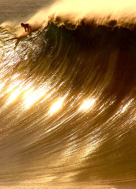 Waimea on an almost-Eddie day in  December Bild Gold, Big Wave Surfing, Gold Aesthetic, Surf Life, Surfing Waves, Shades Of Gold, Big Waves, Surfs Up, In The Ocean