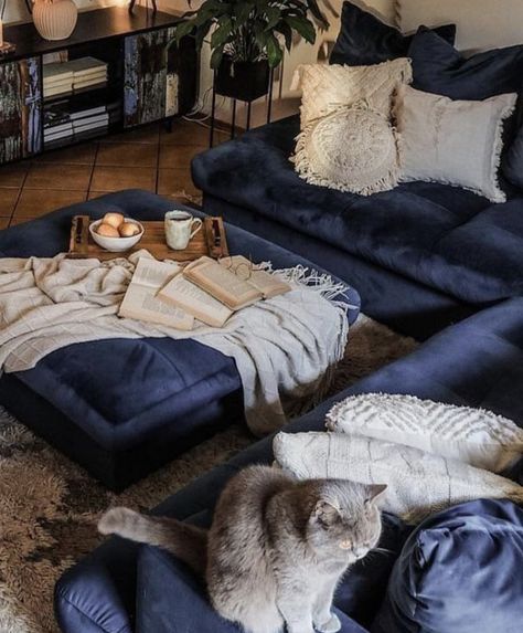 Blue Couch Aesthetic, Navy Couch Aesthetic, Dark Blue Couch Aesthetic, Dark Blue Movie Room, Navy Blue Room, Navy Blue Sectional Living Rooms Velvet Sofa, Apartment Aesthetic Blue Couch, Dark Blue Couch, Couch Aesthetic