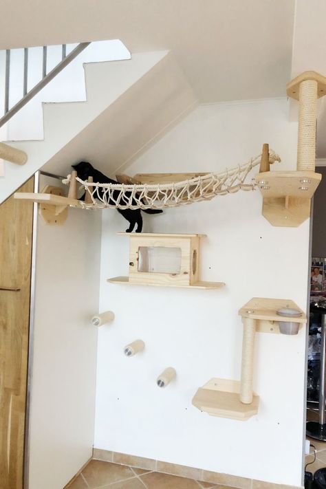 Diy Cat Wall Ideas, Chat Diy, Pet Station, Cat Wall Furniture, Cat House Diy, Cats Diy Projects, Apt Ideas, Eco Friendly Decor, Animal Room