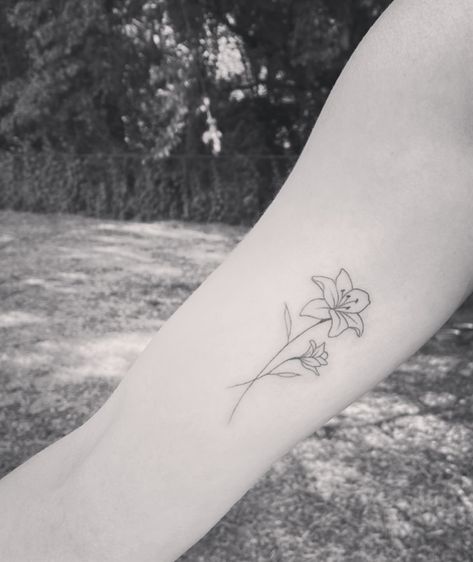 Fine line floral lily tattoo minimal May Lilly Flower Tattoo, Line Lily Tattoo, Fine Line Lily, Fine Line Lily Tattoo, Small Lily Tattoo, Stargazer Lily Tattoo, Lilly Flower Tattoo, Tiger Lily Tattoos, Water Lily Tattoos