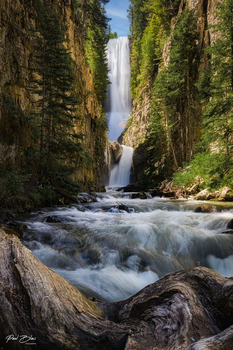 ***Available on metal, canvas, or professional grade photo paper*** Title: Mystic Cradle This elusive waterfall just outside of Telluride, Colorado is one of the most beautiful waterfalls in the state. It resides in a mysterious narrow canyon that can be a challenge to locate. I will never forget the feeling of standing at the bottom staring up in awe as the sunlight illuminated the falls. Colorado Waterfalls, Large Cardboard Boxes, Waterfall Photo, Colorado Landscape, Mountain Waterfall, Wall Displays, San Juan Mountains, Aluminum Sheets, Beautiful Landscape Photography