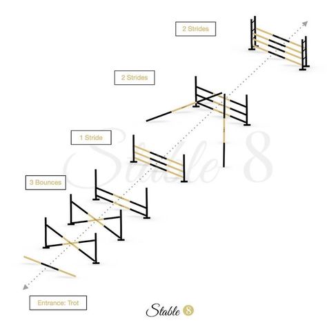 Jumping Grids For Horses, Grid Exercises For Horses, Horse Training Exercises Show Jumping, Horse Jump Exercises, Horse Grid Exercises, Gridwork For Horses, Grid Work For Horses, Show Jumping Exercises, Jump Exercises Horse