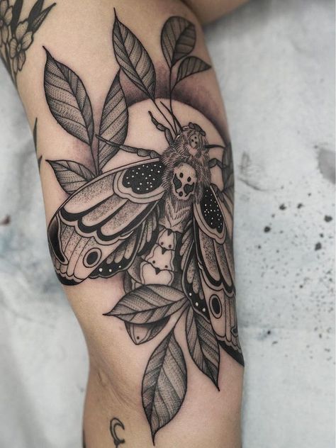 Natur Tattoo Arm, Botanisches Tattoo, Background Tattoo, Moth Tattoo Design, Linework Tattoo, Insect Tattoo, Nature Tattoo, Tattoos Geometric, Moth Tattoo