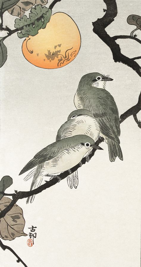 Birds and plants (1900 - 1936) by Ohara Koson (1877-1945). Original from the Rijks Museum. Digitally enhanced by rawpixel. | free image by rawpixel.com Birds Sitting, Japanese Bird, Free Illustration Images, Ohara Koson, Tinta China, Japanese Woodblock Printing, Japanese Painting, Art Bundle, Sumi E