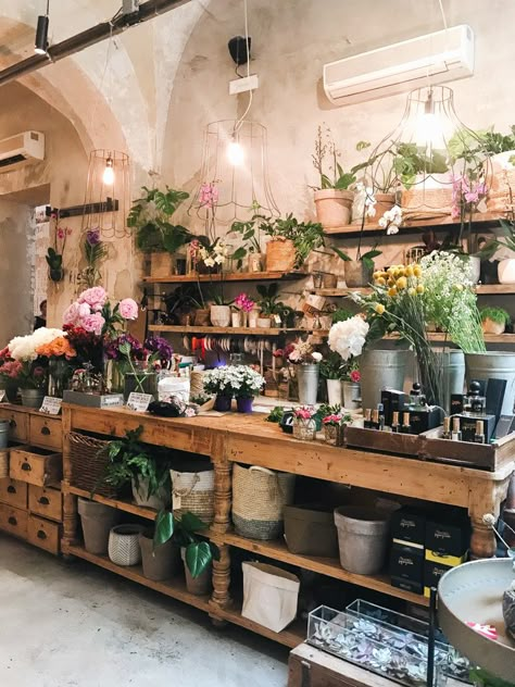 Florist Shop Interior, Florence Travel Guide, Flower Shop Interiors, Flower Shop Decor, Flower Shop Design, Florence Travel, Flower Boutique, Florence Tuscany, Flower Store