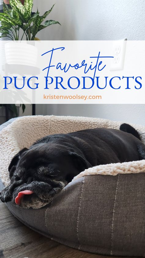 Pug Aesthetics, Pug Accessories, Old Pug, Best Amazon Products, Best Brushes, A Pug, Best Amazon, Pug, Roxy