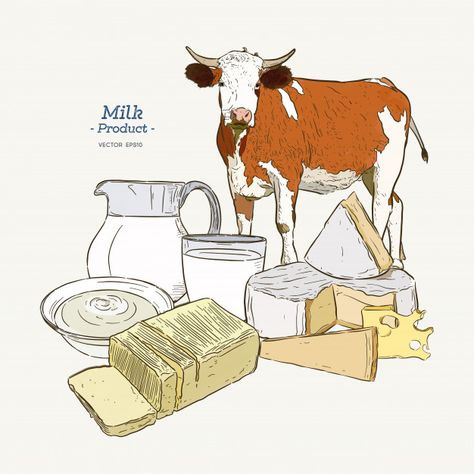 Dairy products collection. cow, milk pro... | Premium Vector #Freepik #vector #food #vintage #hand #cartoon Milk Drawing, Cheese Cartoon, Milk Curd, Hand Cartoon, Cow Vector, Food Vintage, Cow Illustration, Farm Landscape, Cow Drawing