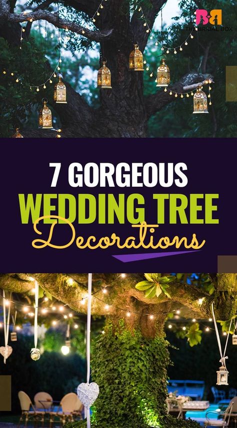 Wedding tree decorations signify one thing: Weddings are not just about ceremonies, they are also a way to celebrate the bride and groom who are about to tie the nuptial knot. Almost every girl dreams to have a fairy tale wedding, ever since her childhood. Tree Decorations For Wedding, How To Decorate A Tree For A Wedding, Wedding Under Tree, Wedding Tree Decor, Wedding Ceremony Tree, Tree Lights Wedding, Wedding Under Trees, Tree Decor Wedding, Lanterns In Trees