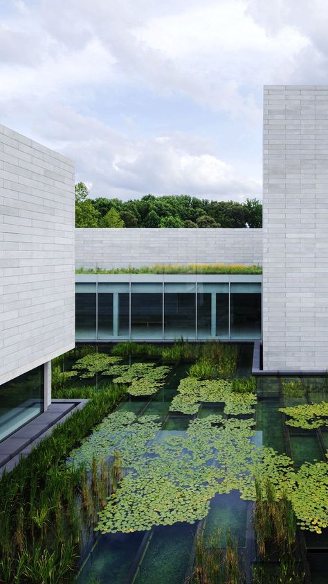 Thomas Pajdlhauser, Parasite Building Architecture, Natural Lighting Design, Thomas Phifer Architecture, Thomas Phifer, Horniman Museum And Gardens, Potomac Maryland, Geotechnical Engineering, Exhibition Building