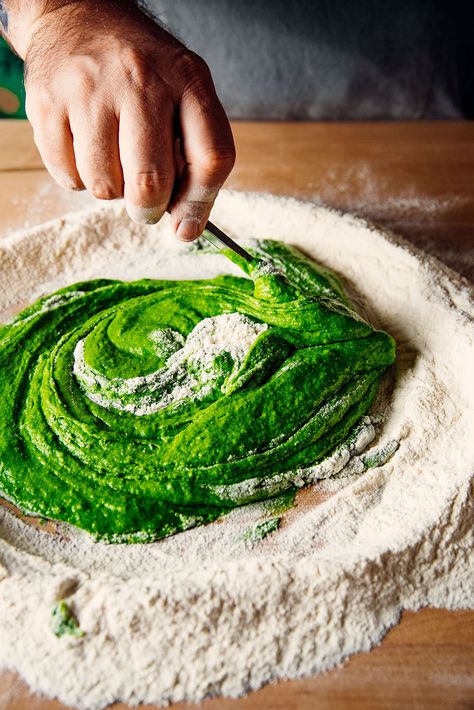 Recipe: Sfoglia Verde Agli Spinaci | An epic spinach pasta dough that you can turn into all your fave pasta shapes, homemade pasta recipe, Evan Funke and Katie Parla’s cookbook American Sfoglino, vegetarian recipes, comfort food ideas Spinach Pasta Dough, Evan Funke, Spinach Pasta Recipe, Katie Parla, Spinach Pasta Recipes, Pasta Dough Recipes, Homemade Pasta Recipe, Handmade Pasta, How To Make Biscuits