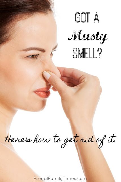 Musty Smell In House, Environmental Wellness, Mold Smell, Smell Clean, Mobile Home Makeover, Add A Bathroom, Getting Rid Of Mice, Fabric Refresher, Homemaking Tips