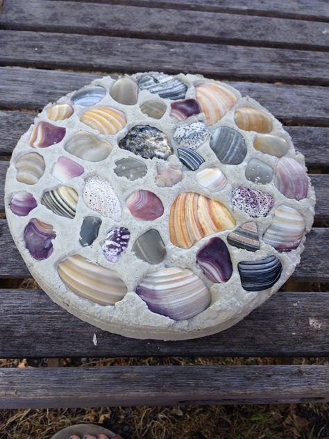 Seashell Stepping Stones Diy, Seashell Stepping Stones, Shell Stepping Stones, Coastal Stepping Stones, Turtle Stepping Stones Diy, Sea Shell Stepping Stones, Turtle Stepping Stones, Stone Garden Ideas, Concrete Stepping Stones Diy