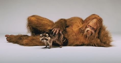 Sasquatch Bares All In Fierce Photoshoot For ESPN Magazine | The Huffington Post Bigfoot Wallpaper, Sasquatch Funny, Bigfoot Stories, Bigfoot Pictures, Yeti Bigfoot, Bigfoot Art, Finding Bigfoot, Bigfoot Sightings, Bigfoot Humor