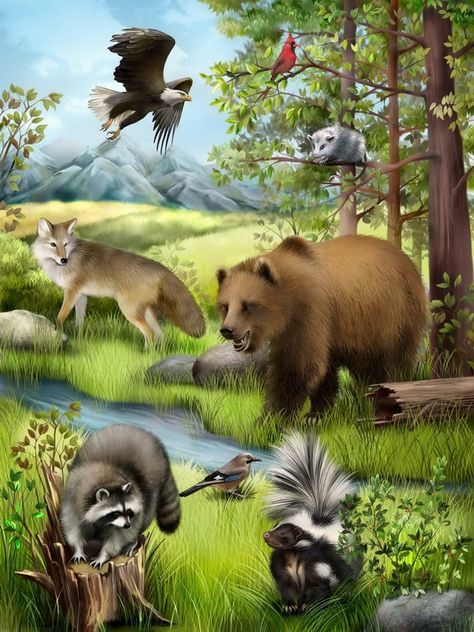 «Animals in the Forest» is an interactive  ebook for children. Pressing on each animal tells you what it is. Animals In Forest, Animals In The Forest, Animals Around The World, Wildlife Paintings, Animal Activities, Forest Theme, Wildlife Animals, Woodland Creatures, Animal Wallpaper