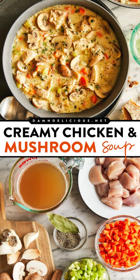 Whip up this cozy soup recipe for dinner! It's a delicious home-cooked meal in just 30 minutes. There's nothing like a bowl of this chicken soup with mushrooms and vegetables. It's so creamy and hearty! Creamy Chicken And Mushroom Soup, Chicken And Mushroom Soup, Postpartum Meal, Chicken And Mushroom, Creamy Mushroom Soup, Healthy Soups, Best Soup Recipes, 2024 Ideas, Healthy Dinner Recipes Chicken