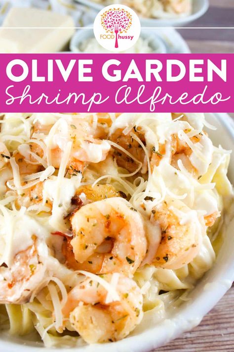 Olive Garden Shrimp Alfredo, Recipe Alfredo Sauce, Pasta Alfredo Receta, Fetuccini Alfredo, Shrimp Alfredo Pasta Recipes, Chicken And Shrimp Alfredo, Olive Garden Alfredo Sauce Recipe, Shrimp Pasta Recipes Easy, Alfredo Sauce Recipe Homemade