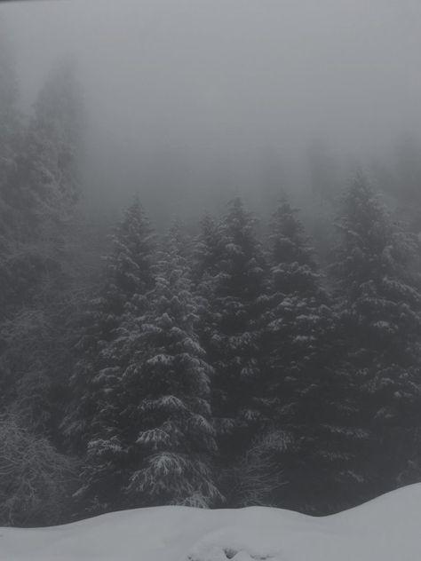 Creepy Snowy Forest, Snowy Apocalypse Aesthetic, Winter Storm Aesthetic, Winter Horror Aesthetic, Avalanche Aesthetic, Snow Storm Aesthetic, Snowstorm Aesthetic, Snowy Forest Aesthetic, Foggy Winter