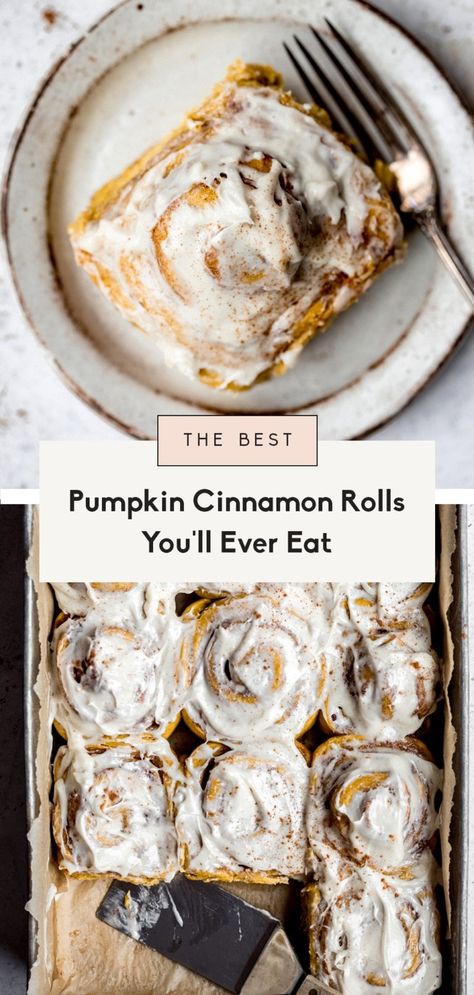 These are truly the BEST pumpkin cinnamon rolls you'll ever eat. Made with pumpkin puree and cozy pumpkin pie spice in every bite, and topped with an addicting maple cream cheese frosting, these pumpkin cinnamon rolls are bound to become a staple recipe in your home. #pumpkincinnamonrolls #cinnamonrolls #pumpkin Sunday Baking, Maple Cream Cheese, Fall Brunch, Pumpkin Cinnamon Rolls, Ambitious Kitchen, Maple Cream, Best Pumpkin, Homemade Pumpkin, Pumpkin Pie Spice