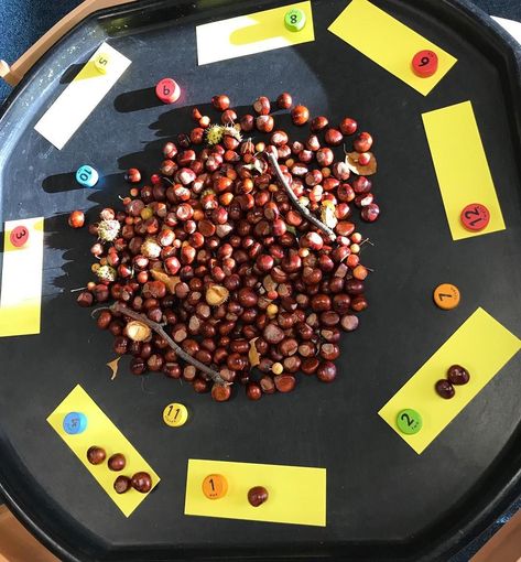 •Counting with conkers• I placed the conkers and numerals out in the tray for the children to count and match up. They loved it.… Conkers Craft, Sensory Tray, Katie Taylor, Reggio Emilia Approach, Forest School Activities, Continuous Provision, Nursery Activities, Tuff Tray, Forest School