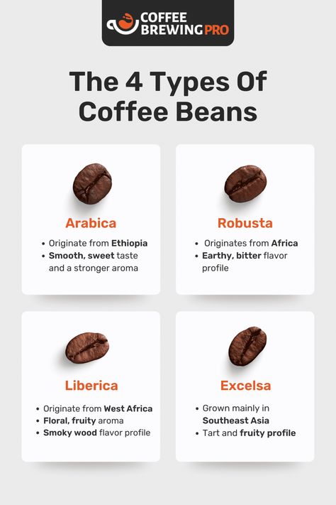 The 4 Different Types Of Coffee Beans Explained Coffee Chart, Coffee Knowledge, Types Of Coffee Beans, Coffee Infographic, Coffee Brewing Methods, Coffee Shop Business, Barista Coffee, Coffee Guide, Coffee Facts