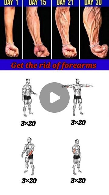 Workout At Home Without Equipment, Forearm Workout At Home, Veiny Arms, Forearm Workout, At Home Workouts, At Home, On Instagram, Instagram