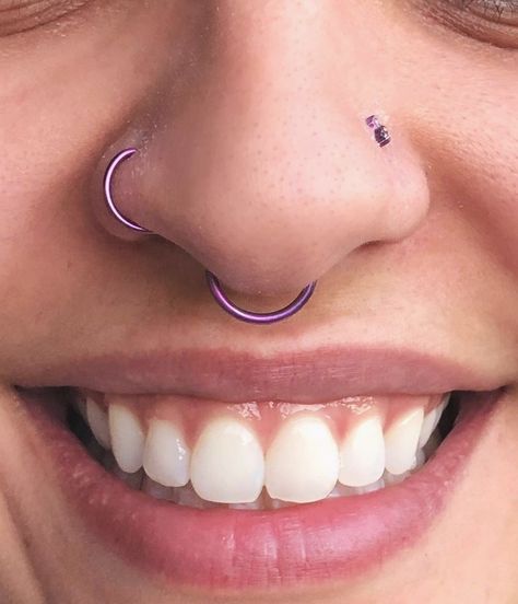 Purple Septum Piercing, Purple Piercings, Aesthetic Piercings, Piercing Inspo, Clawdeen Wolf, Airbrush App, Nose Shapes, Septum Piercing, Purple Aesthetic