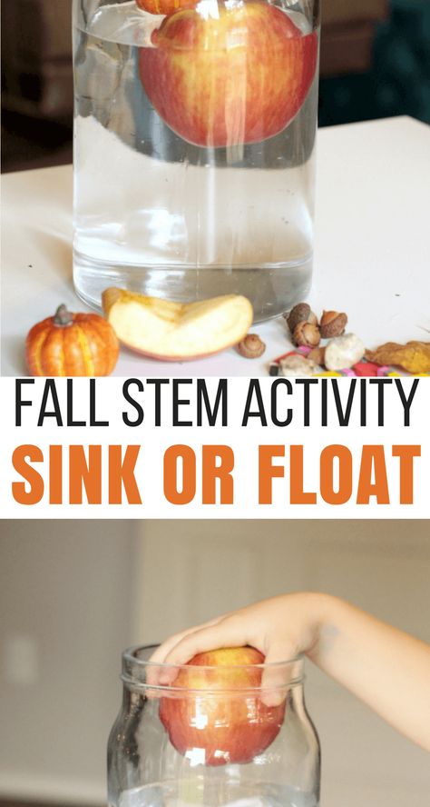 Fall-themed sink or float science experiment, the perfect Fall science activity! Fall Science Experiments, Fall Science Activities, Apple Science Experiments, Fall Stem Activities, Toddler Stem, Pre-k Science, Fall Science, Sink Or Float, Preschool Science Activities