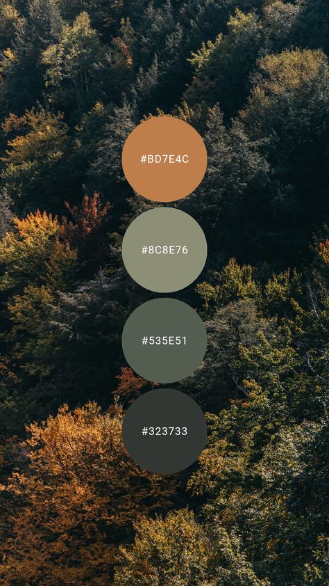 A trio of cool green paired with pumpkin give autumn vibes. Try it in the living room, kitchen, bedroom or at the cabin / cottage. #colourpalette #colorpalette #colour #color #palette #Spruce #forest #green #nature #orange #trees Green Orange Color Palette Bedrooms, Forest Colour Pallet, Forest Tones Colour Palettes, Forest Color Pallette, Forest Colour Scheme, Camping Colour Palette, Walnut And Green Color Palette, Black Green Orange Color Palette, Forest Green And Orange Bedroom