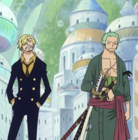 Sanji Zoro, Eustass Kid, Time Skip, Zoro One Piece, Fandom Funny, Roronoa Zoro, Favorite Pins, Pet Names, Straw Hat