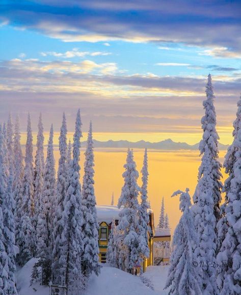 *🇨🇦 Silverstar Mountain sunrise (British Columbia, Canada) by Noa Deutsch on 500px 🌅❄️ British Columbia Winter, Canada Aesthetic, Magical Scenery, West Coast Canada, Vernon Bc, Mountain Sunrise, Vancouver City, Canada Eh, Okanagan Valley