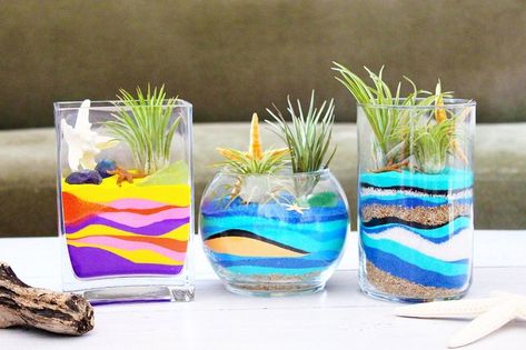 These DIY sand art terrariums are functional art pieces that capture the beauty of sand and nature. Experiment with different colors for different seasons, or throw a terrarium party where everyone gets to make their own! Sand Art Diy, Sand Terrarium, Sand Art Crafts, Terraria Party, Terrariums Diy, Diy Succulent Terrarium, Deco Nature, Sand Crafts, Colored Sand