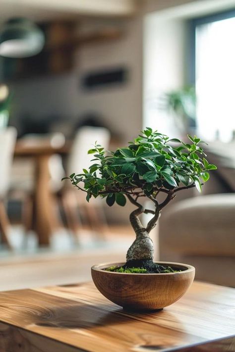 How To Create A Bonsai Tree From A Branch: Beginner's Guide Bonsai Living Room, Bunny Ideas, Pre Bonsai, Bonsai Tree Care, Indoor Bonsai Tree, Backyard Balcony, Indoor Bonsai, Miniature Trees, Plant Decor Indoor