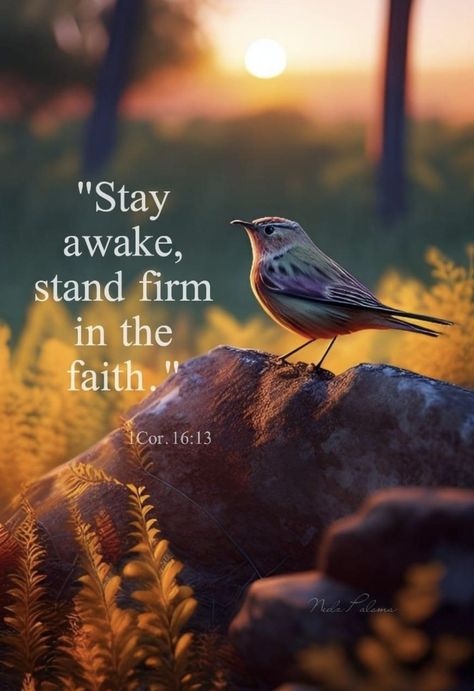 Happy Bible Quotes, Stand Firm In Your Faith, 1 Corinthians 16 13, Prayer Of Praise, Christian Fall, Be Courageous, Divine Protection, Jesus Return, Stand Firm