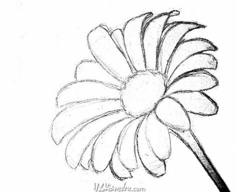 Reference Photos for - How to Paint a Daisy Flower in Acrylic Full Painting Tutorial by JM Lisondra | JMlisondra.com Daisy Drawing Reference, Daisy Drawing Simple, Flower Reference Drawing, Drawing Of A Daisy, Daisy Flower Sketch, Daisies Drawing, Fence Stencil, Draw A Daisy, Daisy Flower Drawing