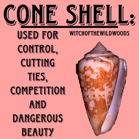 WitchOfTheWildWoods Shells Meaning, Friday Magick, Seashells Witchcraft, Shell Divination, Shell Meaning, Shell Magic, Sea Magick, Spiritual Numerology, Water Witchcraft