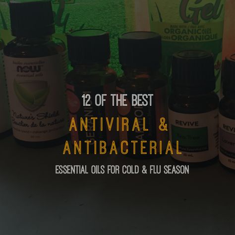 12 Of The Best Antibacterial & Antiviral Essential Oils Antiviral Essential Oils, Antibacterial Essential Oils, Essential Oils For Colds, Aloe Gel, Glass Spray Bottle, Healing Modalities, Diy Essential Oils, Holistic Healing, Hand Sanitizer