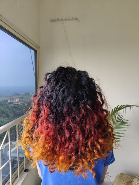 Flame Dyed Hair, Curly Sunset Hair, Curly Hair With Orange Highlights, Fire Ombre Hair Curly, Flame Hair Dye, Yellow Hair Dye Ideas, Halo Hair Dye Style Curly Hair, Hair Colour For Curly Hair Indian, Dyed Curly Hair Ideas Colour