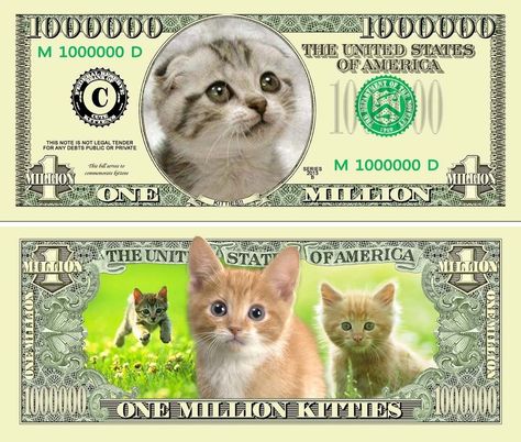 One Million Dollar Bill, One Million Dollars, Dollar Bills, U.s. States, One Million, Million Dollar, Dollar Bill, Paper Money, Kitty Cat