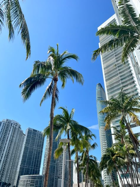 Miami Beach Aesthetic, Bayside Miami, Miami Lifestyle, Miami Aesthetic, Miami Girls, Miami Club, Moving To Miami, Miami Travel, Permanent Vacation