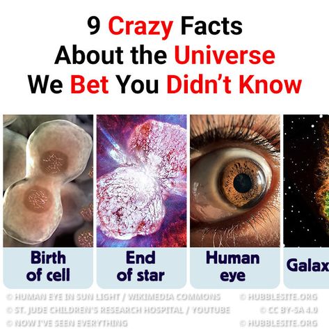 Now I've Seen Everything - No doubt, our universe is a crazy and mysterious space. Throughout history, humans have been trying to figure it out. While we’ve made progress, every day brings new discoveries that add to our understanding. And what is more fascinating, that when we talk about universe, we mean the whole world we ever knew — from tiny cell in human body to supermassive space objects. After you read these amazing facts about the universe, you might just get super excited too! Read more: https://nowiveseeneverything.club/articles/9-crazy-facts-about-the-universe-we-bet-you-didnt-know-10199/?utm_source=tsp_pages&utm_medium=fb_organic&utm_campaign=fb_stories_nise | Facebook About Universe, Space Objects, Crazy Facts, Star Eyes, Our Universe, Parallel Universe, Human Eye, Amazing Facts, Figure It Out