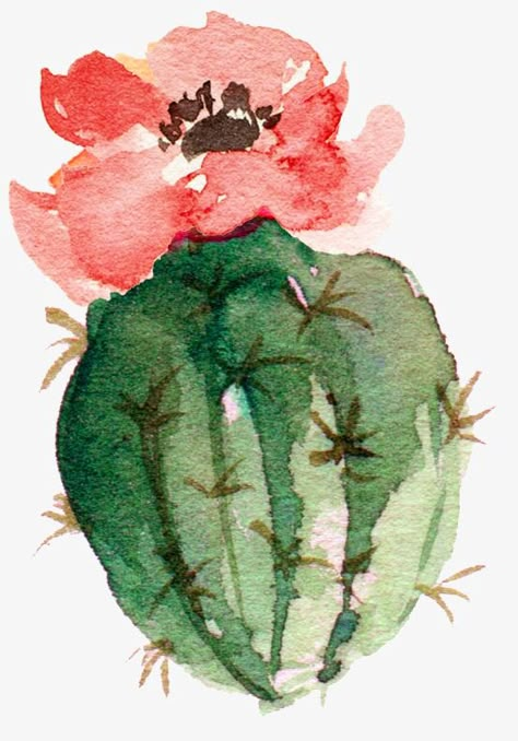 Flowering Bonsai, Cactus Paintings, Cactus Watercolor, Flower Png Images, Images Kawaii, Cactus Painting, Watercolor Cactus, Cactus Art, Plant Drawing