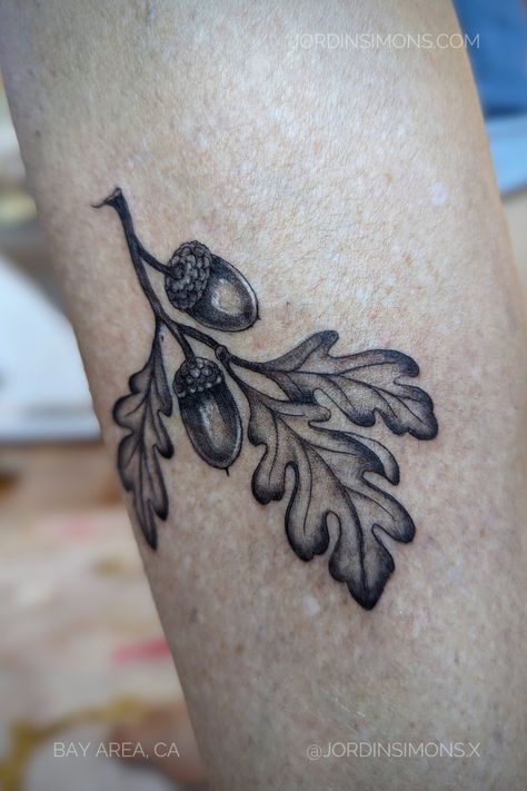 Black and grey botanical tattoo of Oak acorns on leg. Inspired by California trees and nature. || Done by female tattoo artist Jordin Simons at Morningstar Tattoo Parlor in SF Bay Area, CA. Morningstar Tattoo, California Trees, Female Tattoo Artist, Oak Leaves And Acorns, Tattoo Parlor, Female Tattoo Artists, Botanical Tattoo, Tattoo Parlors, Female Tattoo