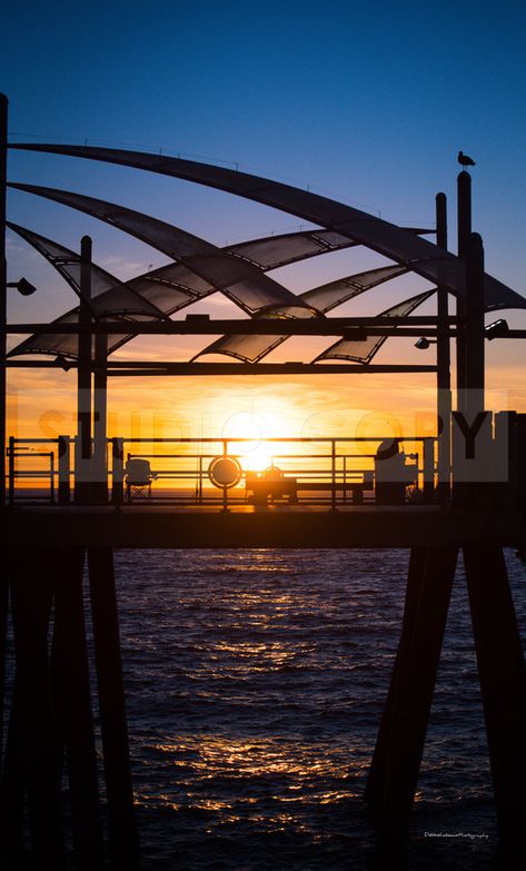 #debbielabeaux #photographer #photography #sunrise #redondobeach #california #weather #travel #debbielabeauxphotography #photoswithdebbie #sunset Redondo Beach Pier, Beach Pier, Photography Sunset, Redondo Beach, Photographer Photography, Beach Life, California, Photographer, Photography