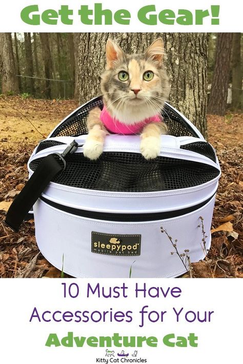 Get the Gear! 10 Must Have Accessories for Your Adventure Cat - Kitty Cat ChroniclesKitty Cat Chronicles - tails of adventure cats & handicats extraordinaire! Adventure Cat Training, Cats Camping, Cat Must Haves, Cat Hiking, Hiking Cat, Apartment Cat, Cat Camping, Cat Activities, Travel Cat