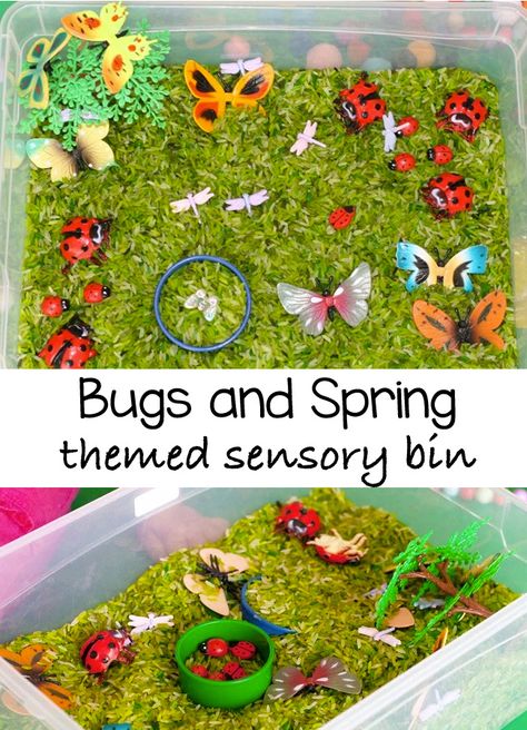 bugs-themed-sensory-bin-pin Themed Sensory Bins, Spring Sensory Bin, Preschool Bugs, Sensory Bins For Toddlers, Spring Sensory, Toddler Sensory Bins, Sensory Tubs, Bugs Preschool, Insects Theme