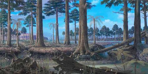 Extinct Animals 🦣🦤 sur X : "The first forests appeared in the Late Devonian, around 400 million years ago. The plants shown are: 1. Archaeosigillaria 2. Aneurophyton 3. Archaeopteris 4. Protolepidodendron 5. Rhacophyton 6. Acanthostega. (Credit: Smith College) https://t.co/MqgsbR5MVt" / X Prehistoric Environment, Prehistoric World, Prehistoric Art, Paleo Art, Vascular Plant, Fantasy Castle, Dinosaur Art, Prehistoric Creatures, Prehistoric Animals