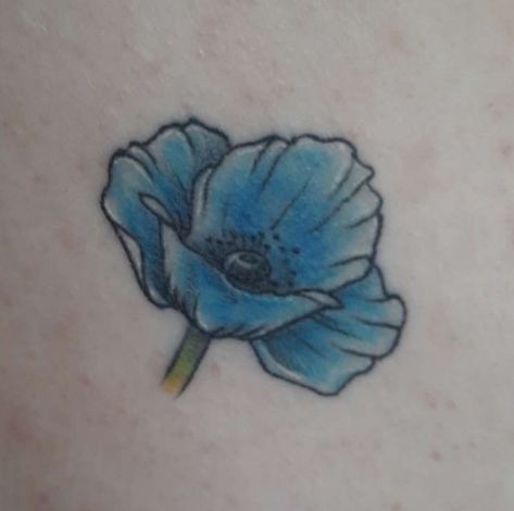 My tattoo of a himalayan blue poppy. Blue Poppy Tattoo, Himalayan Blue Poppy, Poppy Tattoo, Poppies Tattoo, My Tattoo, Flower Sketches, Blue Poppy, Delphinium, Pastel Blue