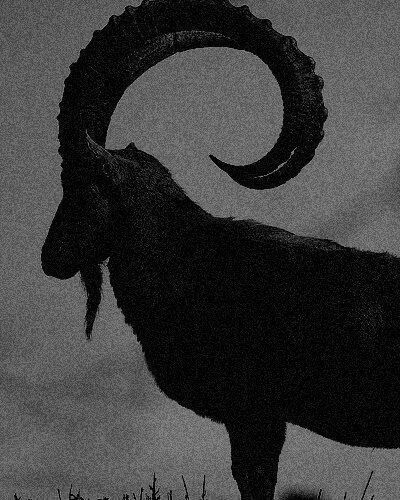 Black Phillip, The Ram, A Goat, Occult Art, Witch Aesthetic, An Animal, Horror Art, Dark Fantasy Art, Dark Art